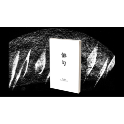 Haiku Book Test 2.0 by Vincent Hedan - Trick