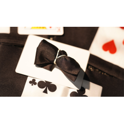 Handkerchief Illusion by TCC