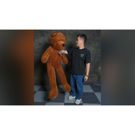 Teddy Bear Appearance (Medium) by MS Magic