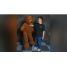 Teddy Bear Appearance (Medium) by MS Magic