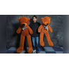 Teddy Bear Appearance (Medium) by MS Magic