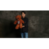 Teddy Bear Appearance (Small) by MS Magic