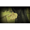 HOODOO - Haunted Voodoo Doll (Gimmicks and Online Instructions) by iNFiNiTi and Mark Traversoni - Trick