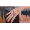 Hopping Keys by Bond Lee, Wenzi, and MS Magic