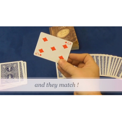 Houdini's Diary (Gimmick and Online Instructions) by Wayne Dobson and Alan Wong - Trick