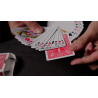 Hand Picked Astonishments INVISIBLE DECK with Joshua Jay by Murphy's Magic