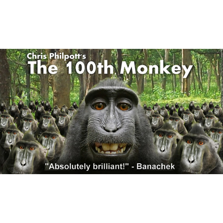 100th Monkey Multi-Language by Chris Philpott