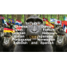 100th Monkey Multi-Language by Chris Philpott