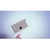 iConic (Gold Edition) by Shin Lim - Trick