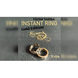 Instant Ring (silver/gold, Size 11) by Viktor Voitko