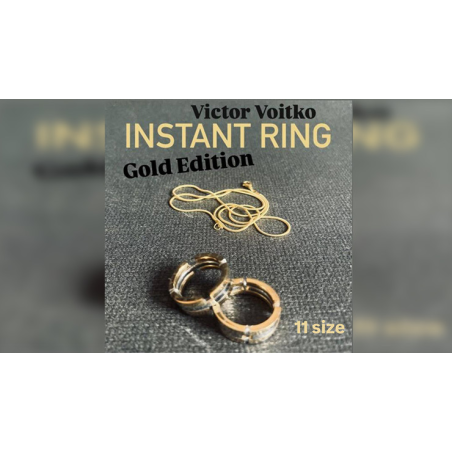 Instant Ring (silver/gold, Size 11) by Viktor Voitko