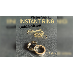 Instant Ring (silver/gold, Size 12) by Viktor Voitko