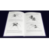Instructions for Miracles by Friedrich Roitzsch - Book
