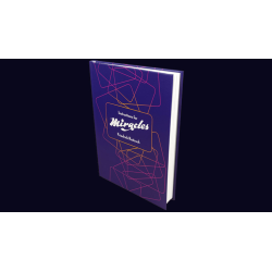 Instructions for Miracles by Friedrich Roitzsch - Book