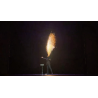 JET by Bond Lee, ZF Magic and MS Magic