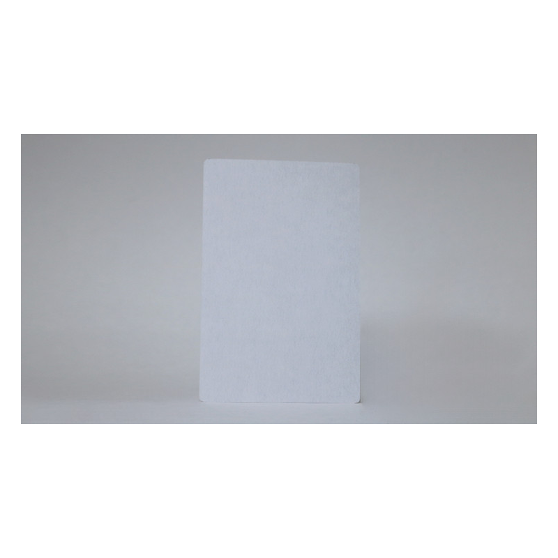 Bicycle Jumbo Double Blank