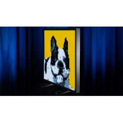 LEGO FRAME by Gustavo Sereno and Gee Magic - Trick