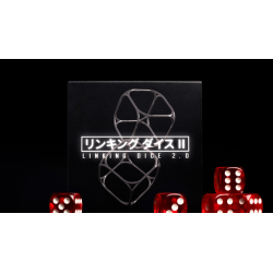 Linking Dice 2.0 by Nobuyuki Nojima Presented by Hanson Chien