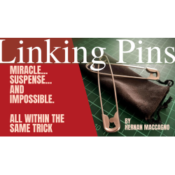 Linking Pins by Hernan Maccagno