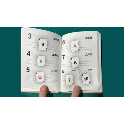 LS Diary by Leo Smetsers