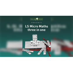 Micro Maths by Leo Smetsers