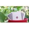 Lucky Ladybug (Log) by Joshua Ray and Deuce Gala Magic