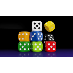 Magnetic Die (Black) by Iarvel Magic