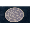 Magic Wishing Coins Silver (12 Coins) by Alan Wong - Trick