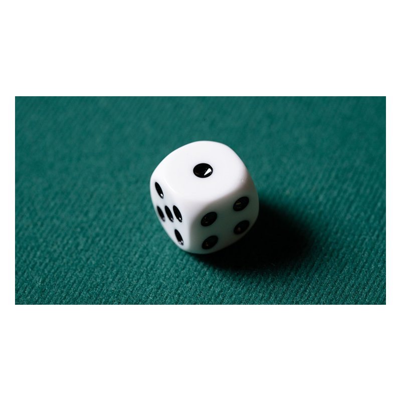 REPLACEMENT DIE WHITE (GIMMICKED) FOR MENTAL DICE by Tony Anverdi - Trick