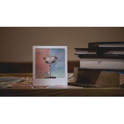 MEMORY by Balala Zheng and Billy Yeung