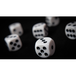 NON GIMMICKED DICE 6 PACK/WHITE by Tony Anverdi - Trick