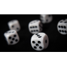 NON GIMMICKED DICE 6 PACK/WHITE by Tony Anverdi - Trick
