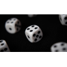 NON GIMMICKED DICE 6 PACK/WHITE by Tony Anverdi - Trick