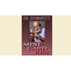 Mini Card Rise by Martin Schwartz