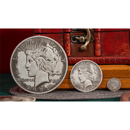 Mini Peace Dollar (Pack of 5 coins) by N2G