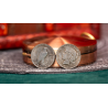 Mini Peace Dollar (Pack of 5 coins) by N2G