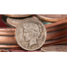 Mini Peace Dollar (Pack of 5 coins) by N2G