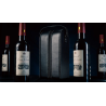 Miracle Wine Bottles by TCC