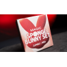 Magic Sponge Bunny Rabbit Set (Red) by Murphy's Magic