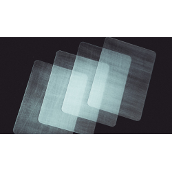 Transparent Matrix (Half Dollar) 2024 by Richard Mo