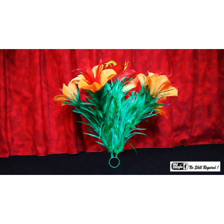 Classic Sleeve Bouquet Pair (6) Deluxe by Mr. Magic - Trick