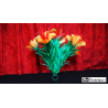 Classic Sleeve Bouquet Pair (6) Deluxe by Mr. Magic - Trick
