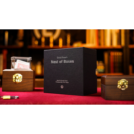 Mystery Solved Nest of Boxes by David Penn