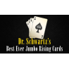 BEST EVER JUMBO RISING CARDS by Martin Schwartz - Trick