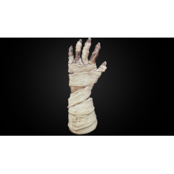 Hanson Chien Presents Mummy Hand by Hanson Chien and Bob Farmer