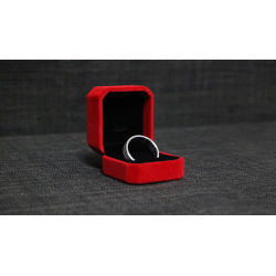 Neomagnetic Ring (21mm) by Leo Smetsers - Trick