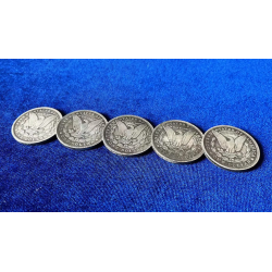 NORMAL MORGAN COIN (5 Dollar Sized Replica Coins) by N2G - Trick