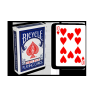 Blue One Way Forcing Deck (10h)