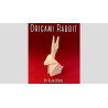 Origami Rabbit by Alan Wong - Trick