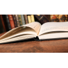 Introducing Bill's Magic (Limited/Out of Print) by William G. Stickland - Book